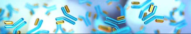 Carrier-Free Antibodies: Versatility and Sensitivity