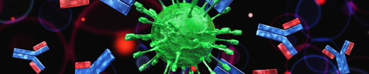 Antibodies for Universal PK Assays in Human IgG Drug Development