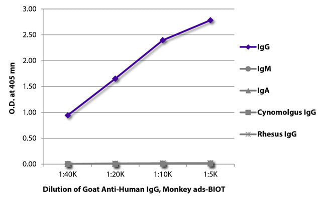 ELISA plate was coated with purified human IgG, IgM, and IgA, cynomolgus IgG, and rhesus IgG. Immunoglobulins were detected with serially diluted Goat Anti-Human IgG, Monkey ads-biotin (Cat. No 6010-BTN) followed by Streptavidin-HRP.