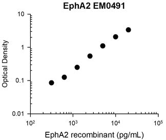 Representative Standard Curve using mouse monoclonal anti-EphA2 (EM0491) for ELISA capture of human recombinant EphA2 extracellular region with a His-tag. Captured protein was detected by suitable anti-His-tag antibody followed by appropriate secondary antibody HRP conjugate.