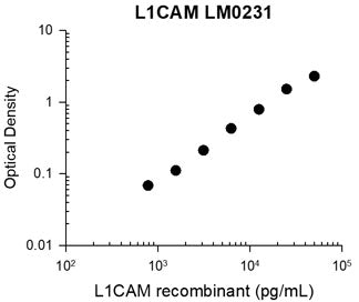 Representative Standard Curve using mouse monoclonal antiL1CAM (LM0231) for ELISA capture of human recombinant L1CAM protein with His-tag. Capture was detected by using an anti-His-tag antibody followed by appropriate secondary antibody conjugated to HRP.